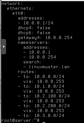 Netplan Network Config