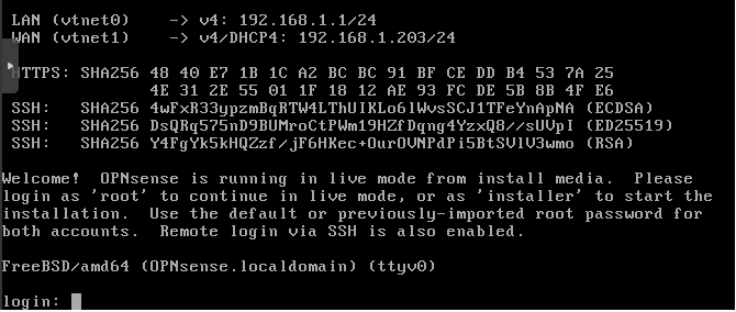 OPNsense: First boot