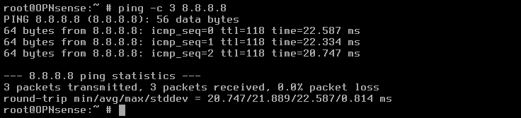 OPNsense: ping test