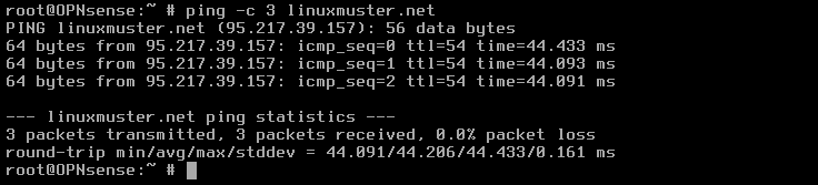 OPNsense: ping test URL