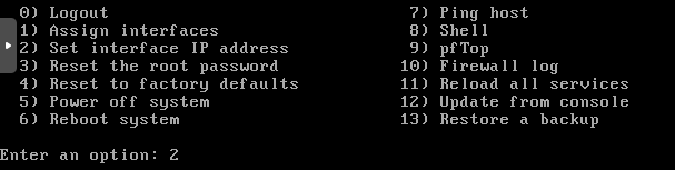 OPNsense: set interfaces IP address