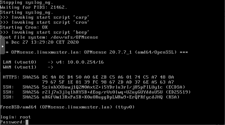 login as user root