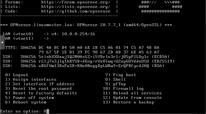 open OPNsense® shell