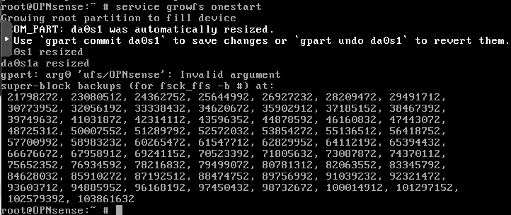 Output from service growfs onestart