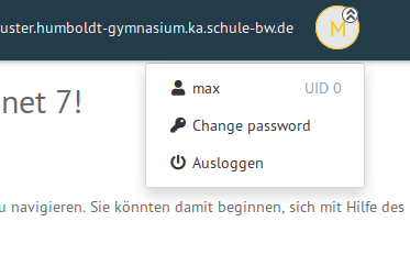 ../_images/selma-logout-menu.png
